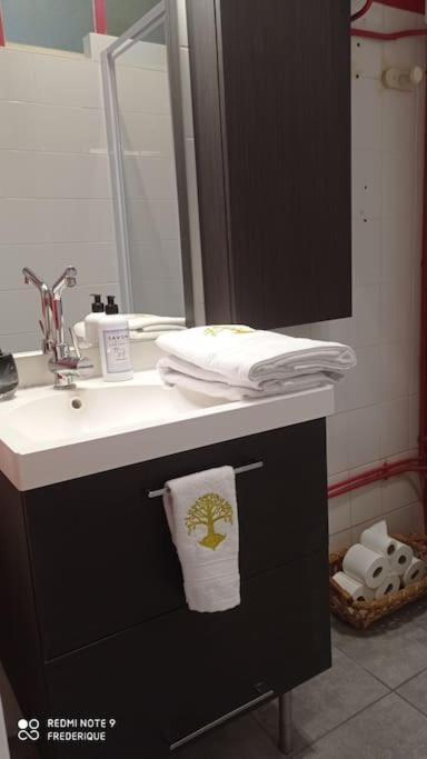 Studio 18 Residence Du Parc シャテルギュイヨン エクステリア 写真